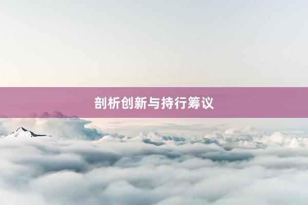 剖析创新与持行筹议