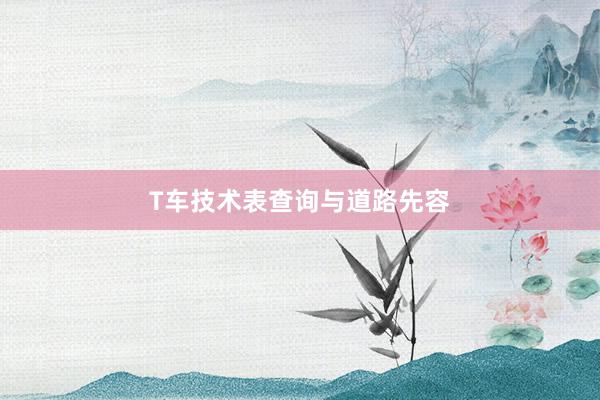 T车技术表查询与道路先容